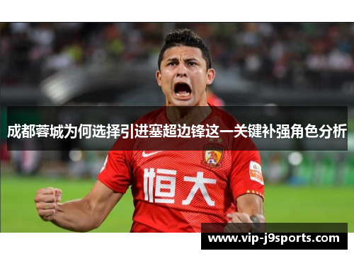 成都蓉城为何选择引进塞超边锋这一关键补强角色分析 成都蓉城为何选择引进塞超边锋这一关键补强角色分析