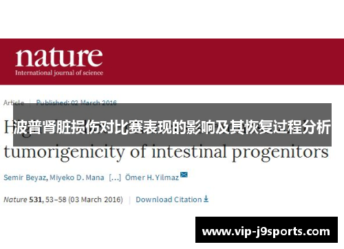 波普肾脏损伤对比赛表现的影响及其恢复过程分析