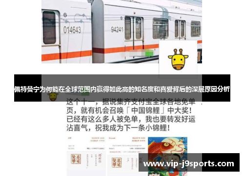 佩特曼宁为何能在全球范围内赢得如此高的知名度和喜爱背后的深层原因分析 佩特曼宁为何能在全球范围内赢得如此高的知名度和喜爱背后的深层原因分析