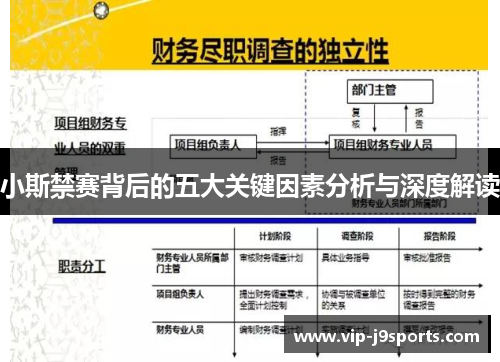 小斯禁赛背后的五大关键因素分析与深度解读